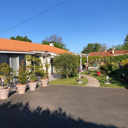 La Pepiniere Bed & Breakfast Saint-Sulpice-et-Cameyrac Luaran gambar